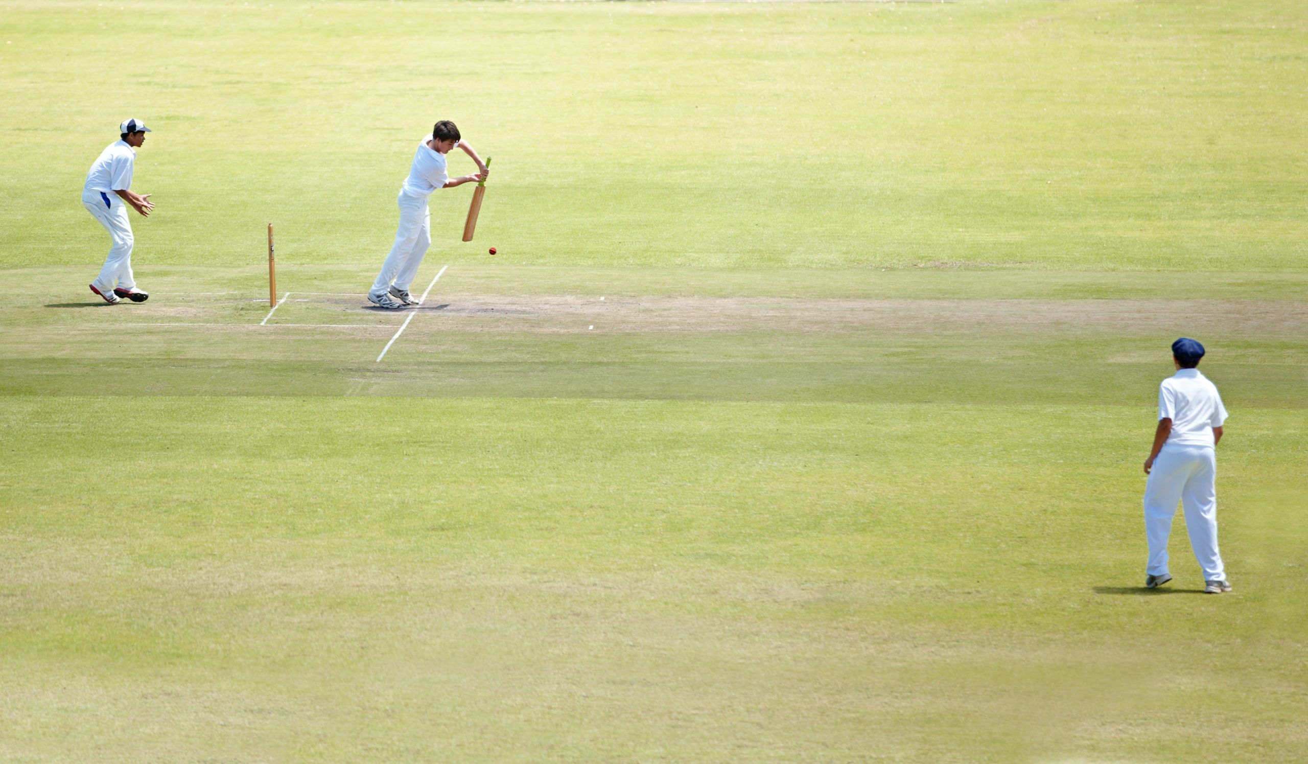 Cricket players during a match